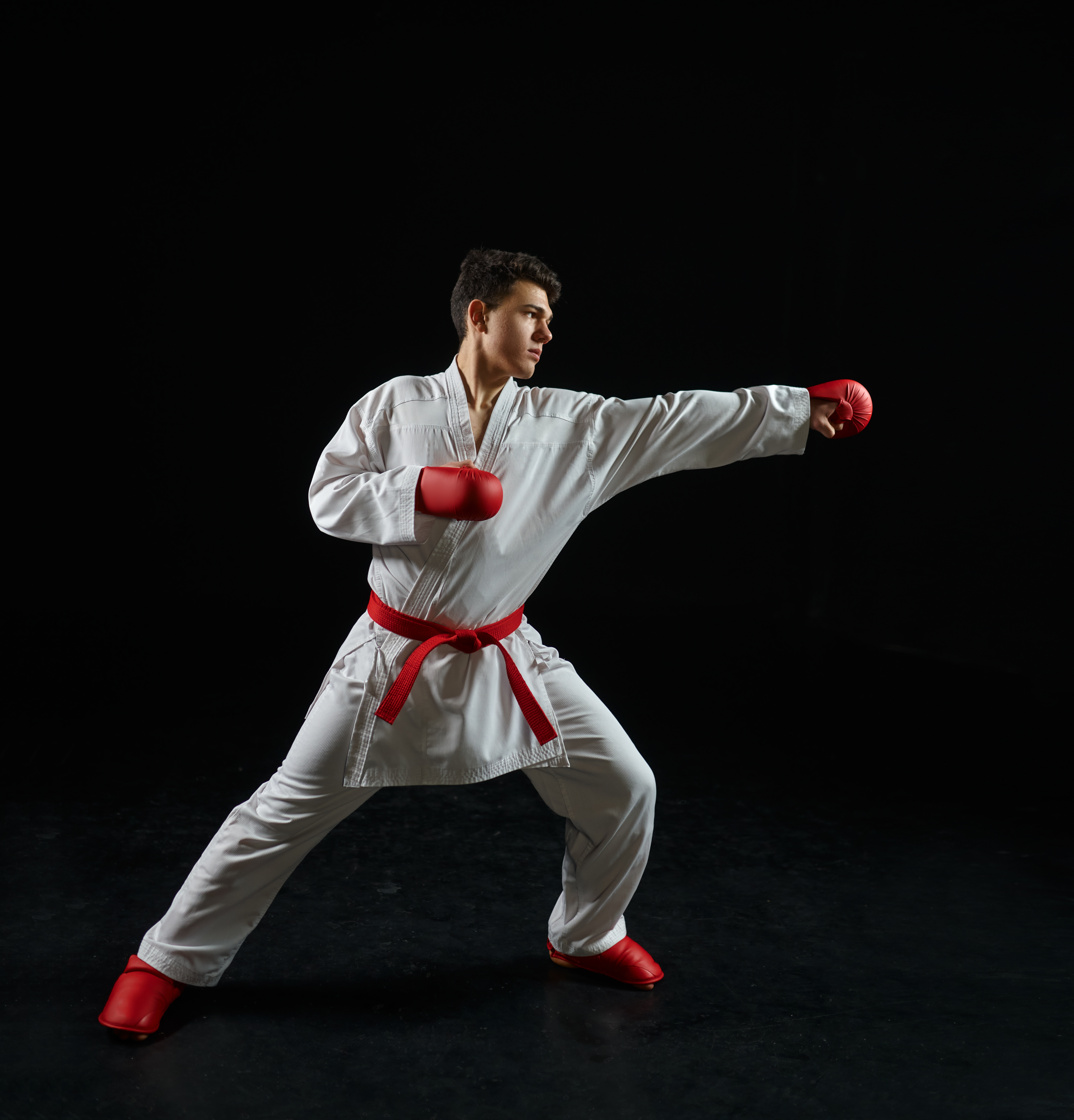 Indian Sports Karate Association Services