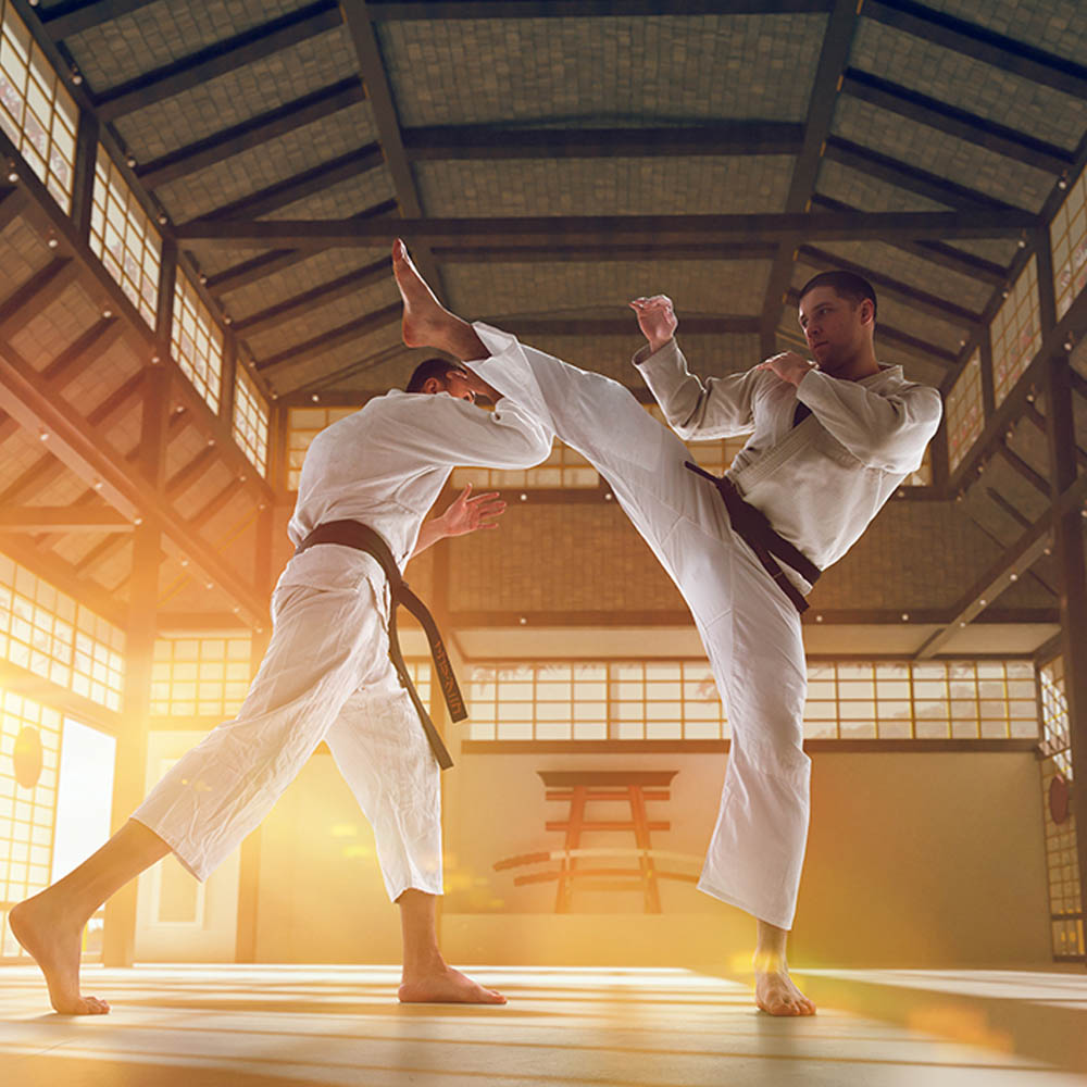 About Indian Sports Karate Association