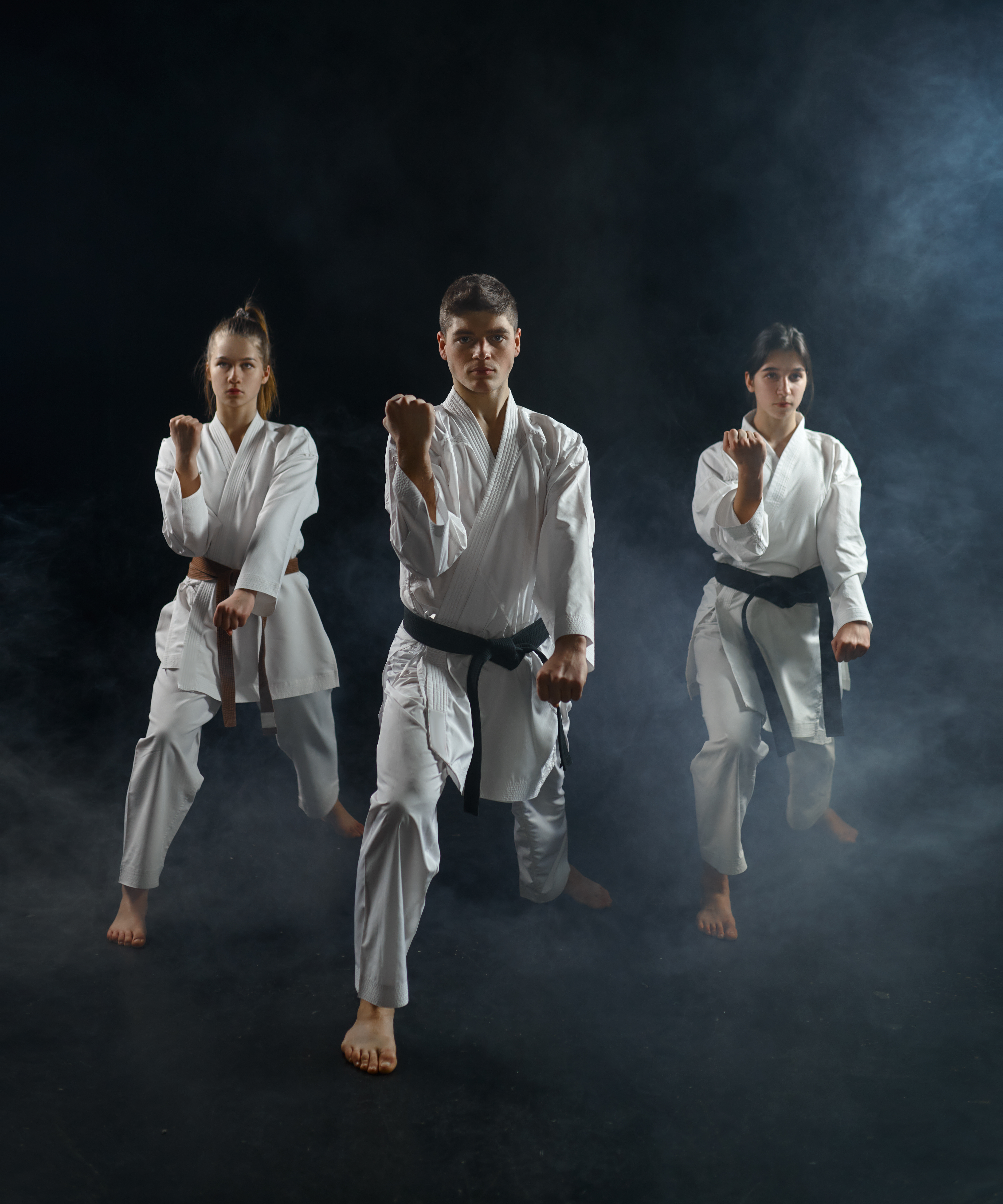 About The Indian Sports Karate-Do Association